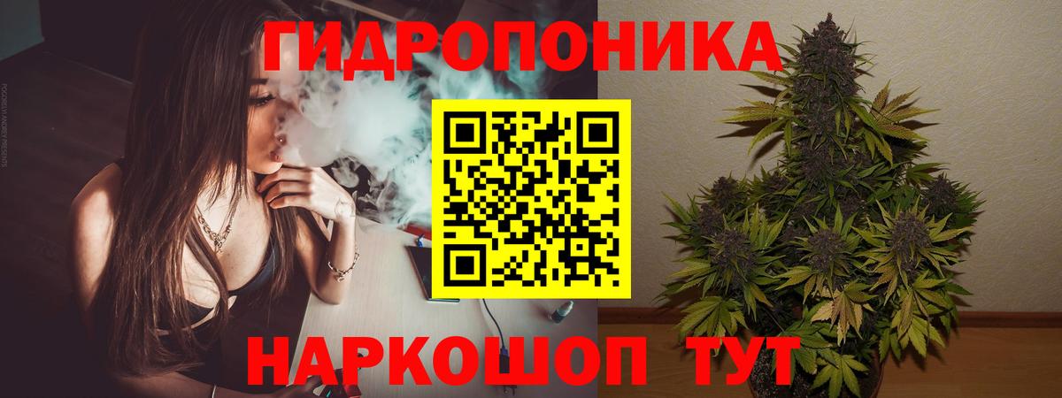 Шишки марихуана индика  Бошки Шишки планчик  Марихуана планчик  Вход с VPN  Егорьевск 